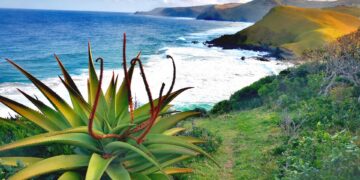 eastern cape wild coast